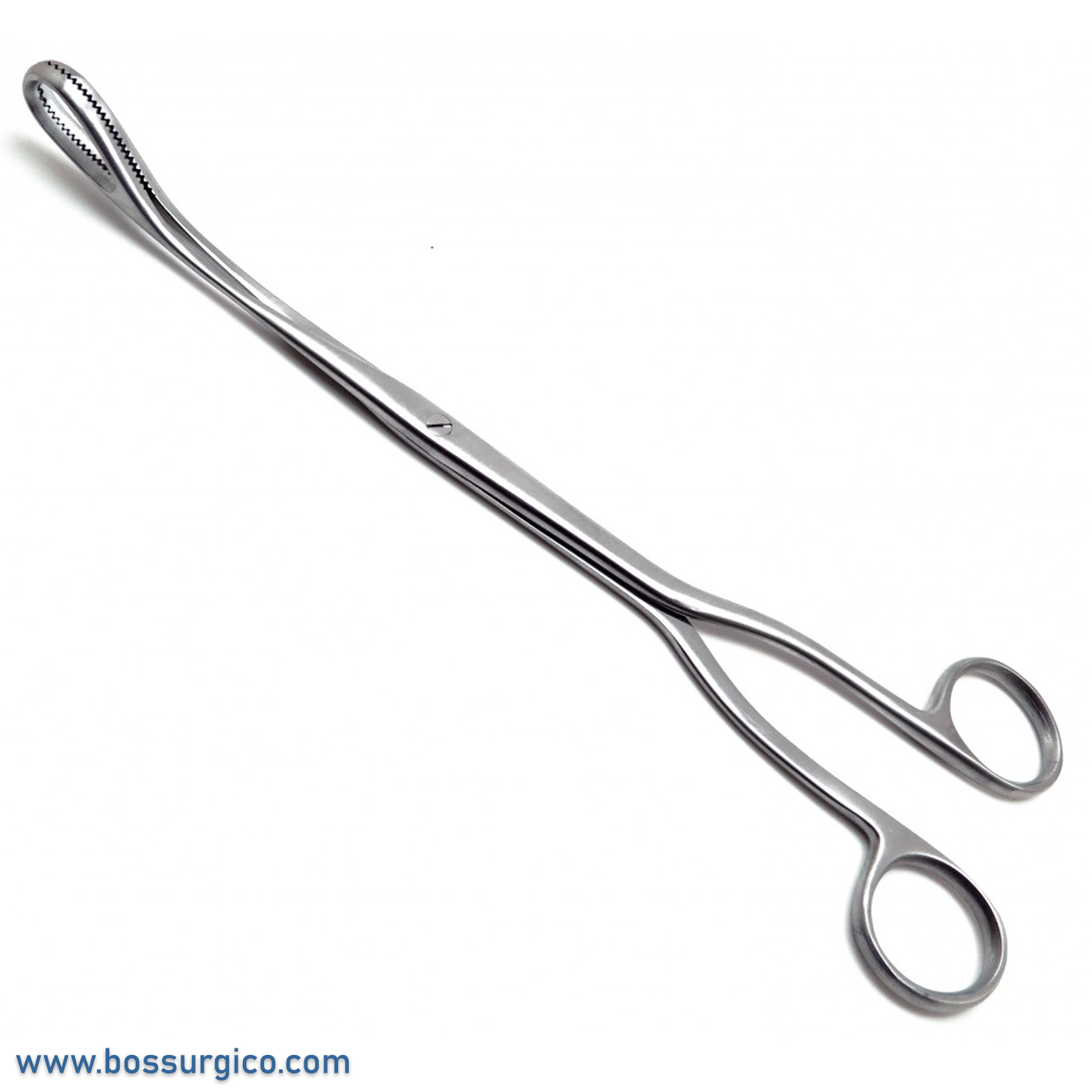 Sponge Curved Forceps 9.5"